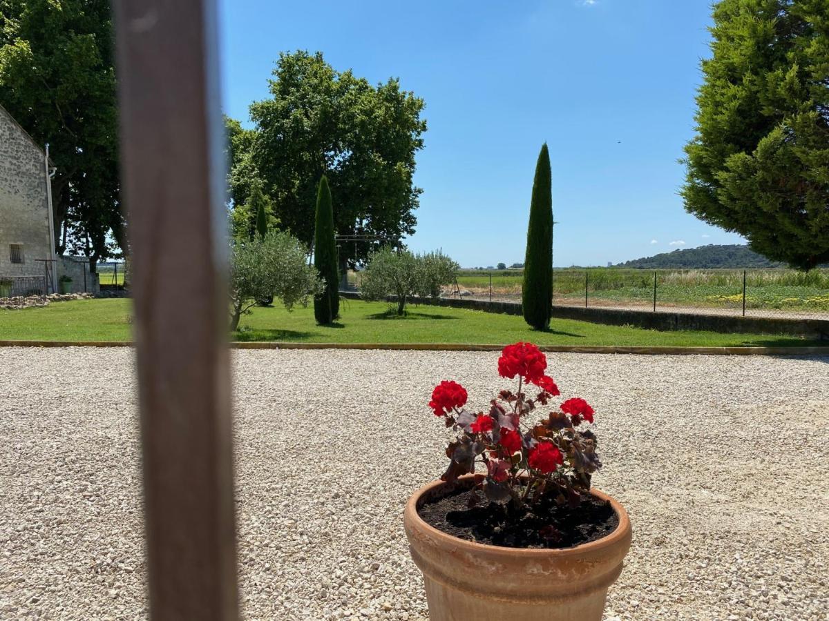 Le Domaine De Laforest Fontvieille Zewnętrze zdjęcie