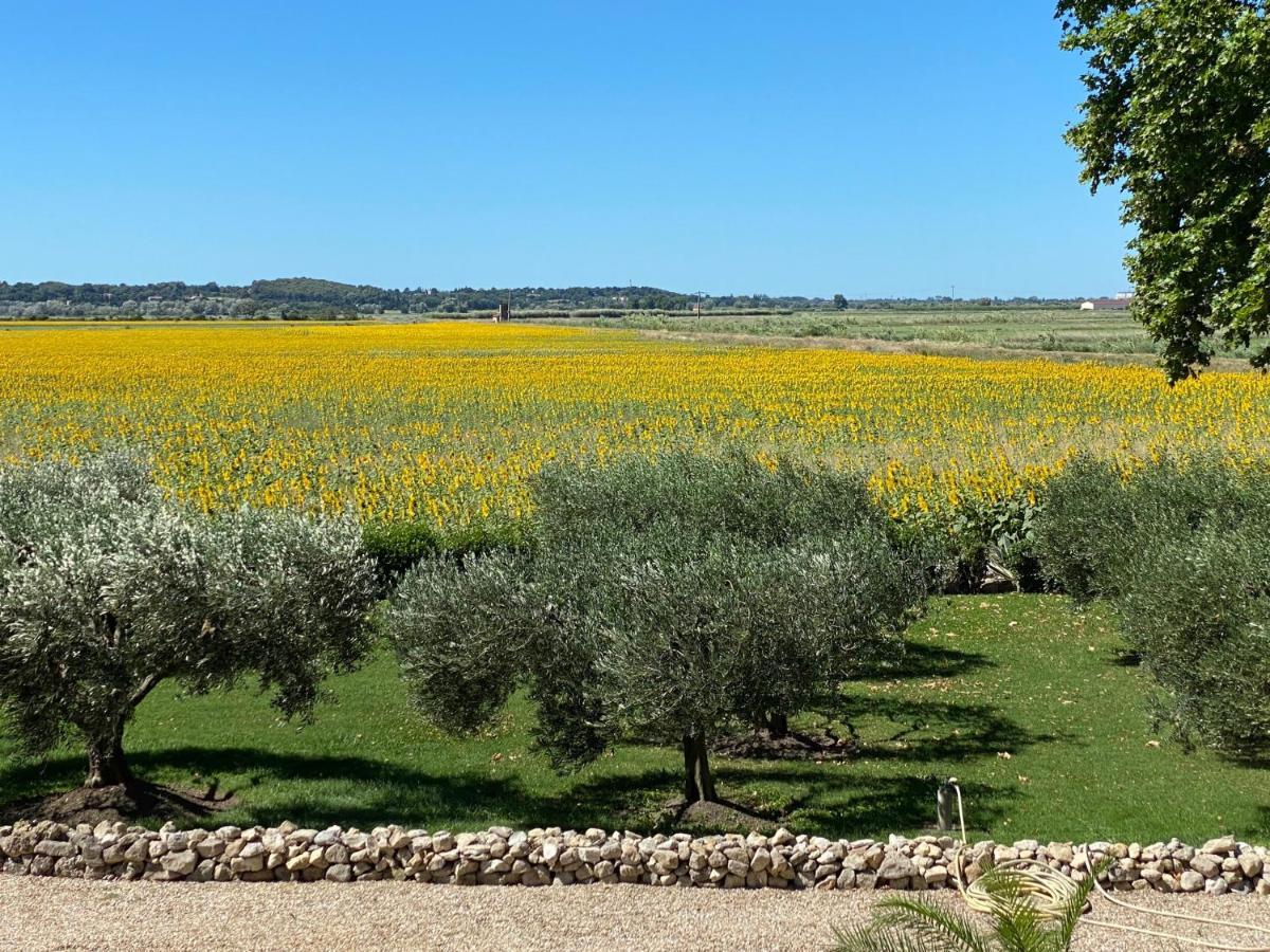 Le Domaine De Laforest Fontvieille Zewnętrze zdjęcie