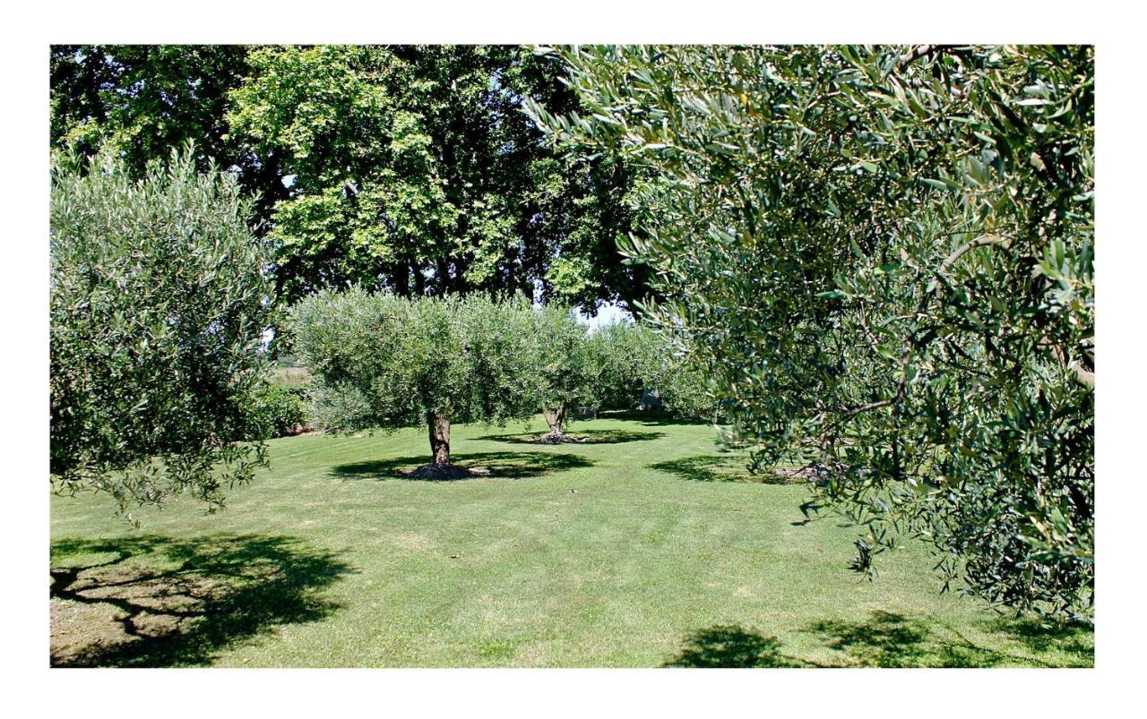 Le Domaine De Laforest Fontvieille Zewnętrze zdjęcie