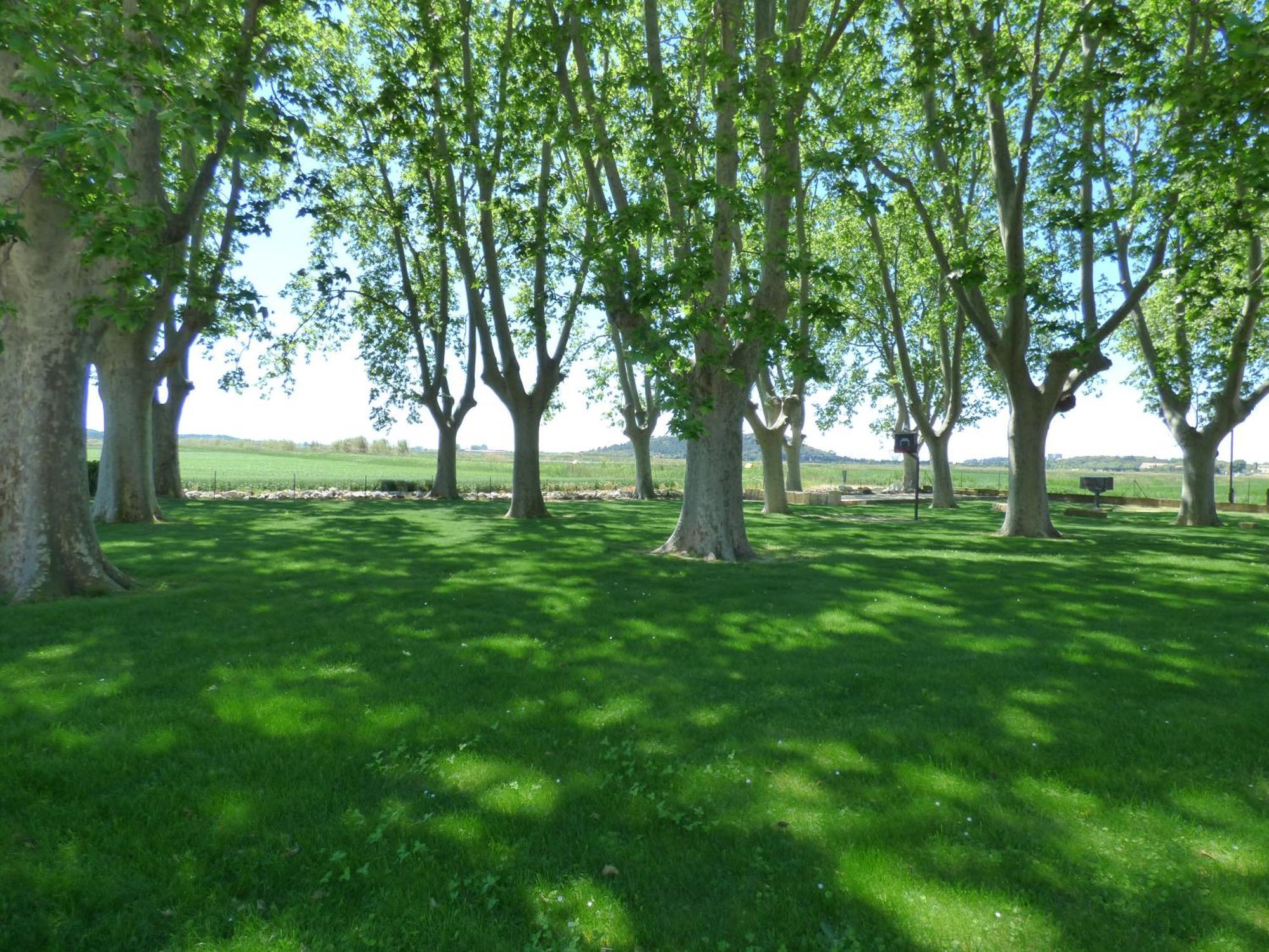 Le Domaine De Laforest Fontvieille Zewnętrze zdjęcie